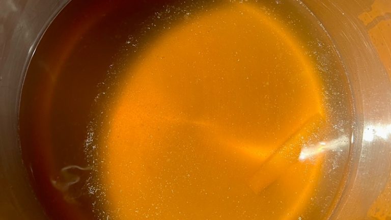 Consommé Double
