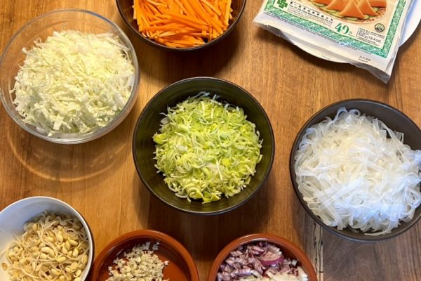 Vegetarische Frühlingsrollen