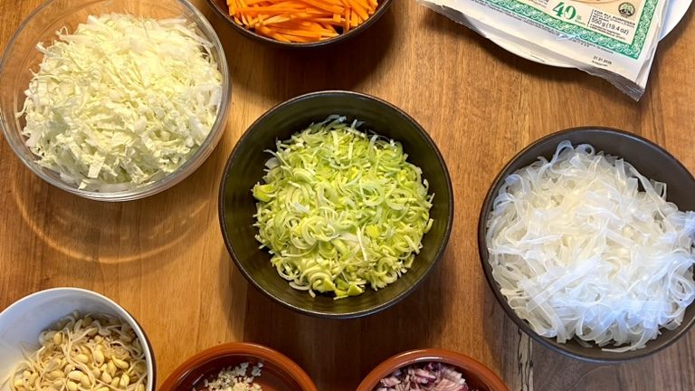 Vegetarian Spring Rolls
