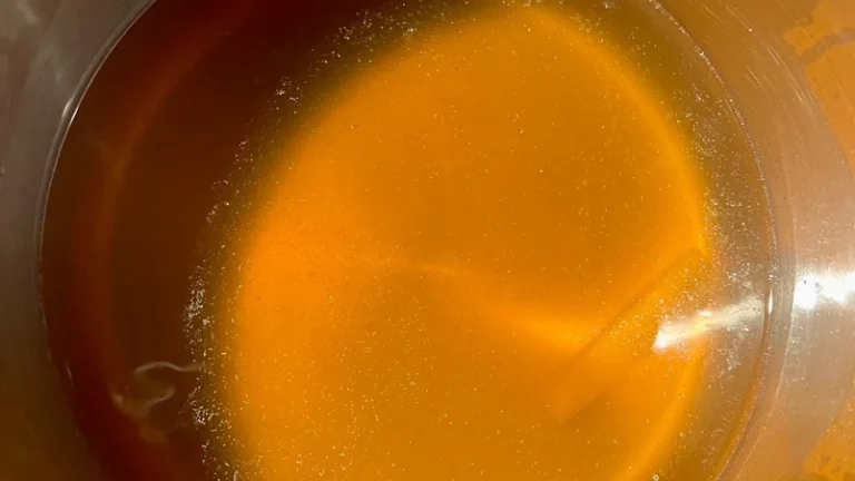 Consommé Double