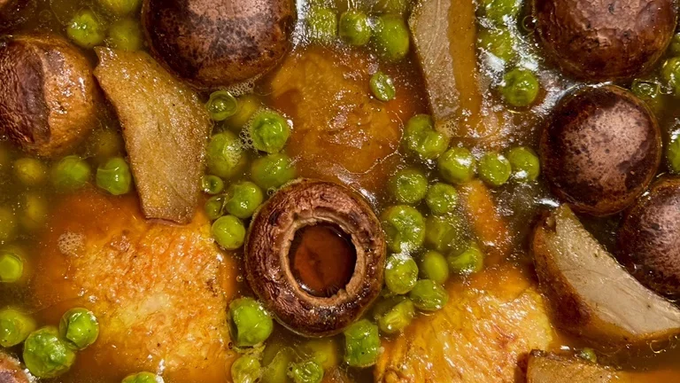 Artichoke Tagine