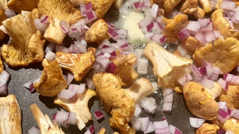 Chanterelles