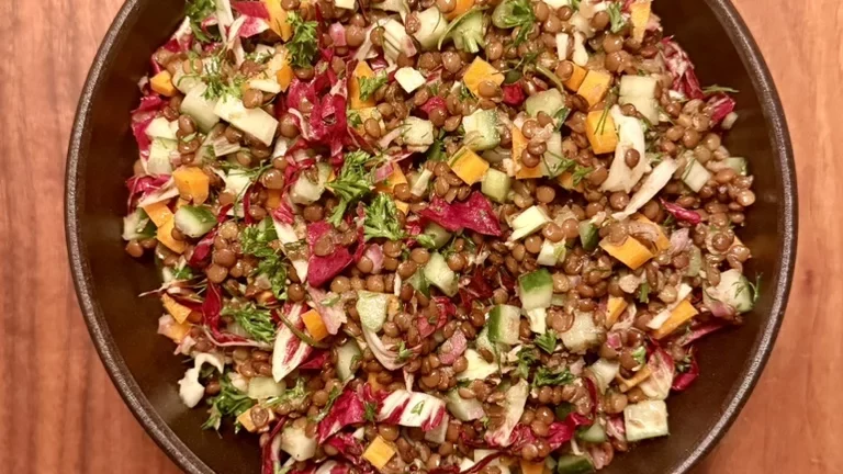 Französischer Linsensalat